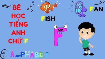 Hướng dẫn bé học tiếng anh chữ F || Letter F || Alphabet | Babilala