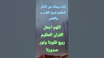 آيات بينات من الذكر الحكيم #اكسبلور #قرآن#quran #تيك_توك#القرآن_الكريم #القارئ #قران #explore#ترند