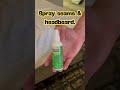 What Flight Attendants Spray in Every Hotel Room