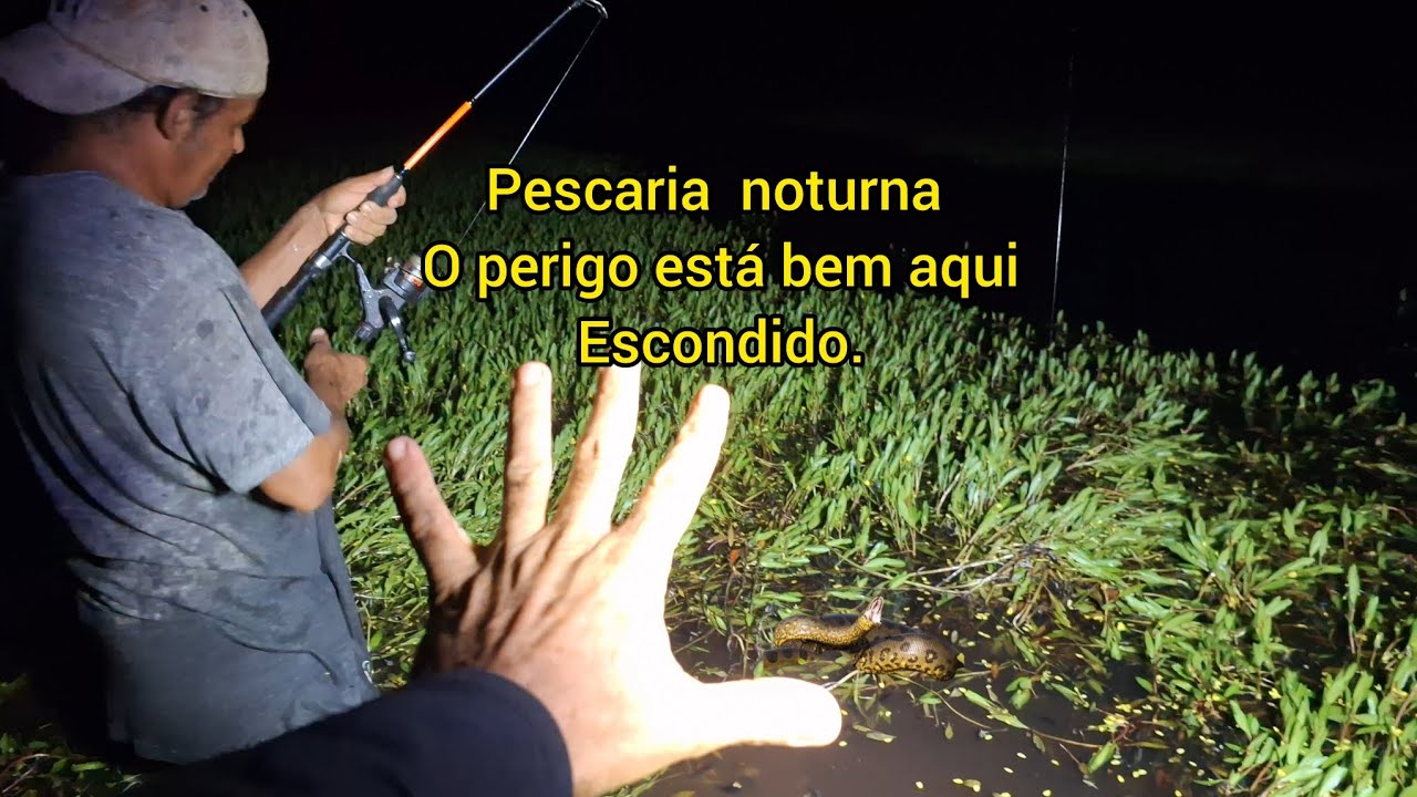 Pescaria perigosa no brejo E Uma grande surpresa 