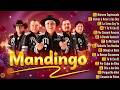 Grupo Mandingo - Mix Sus Mejores Éxitos 2026 - Grupo Mandingo Viejitas Romanticas Éxitos