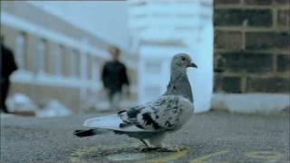 Bond University 60-second TV AD 'Chase' 2007