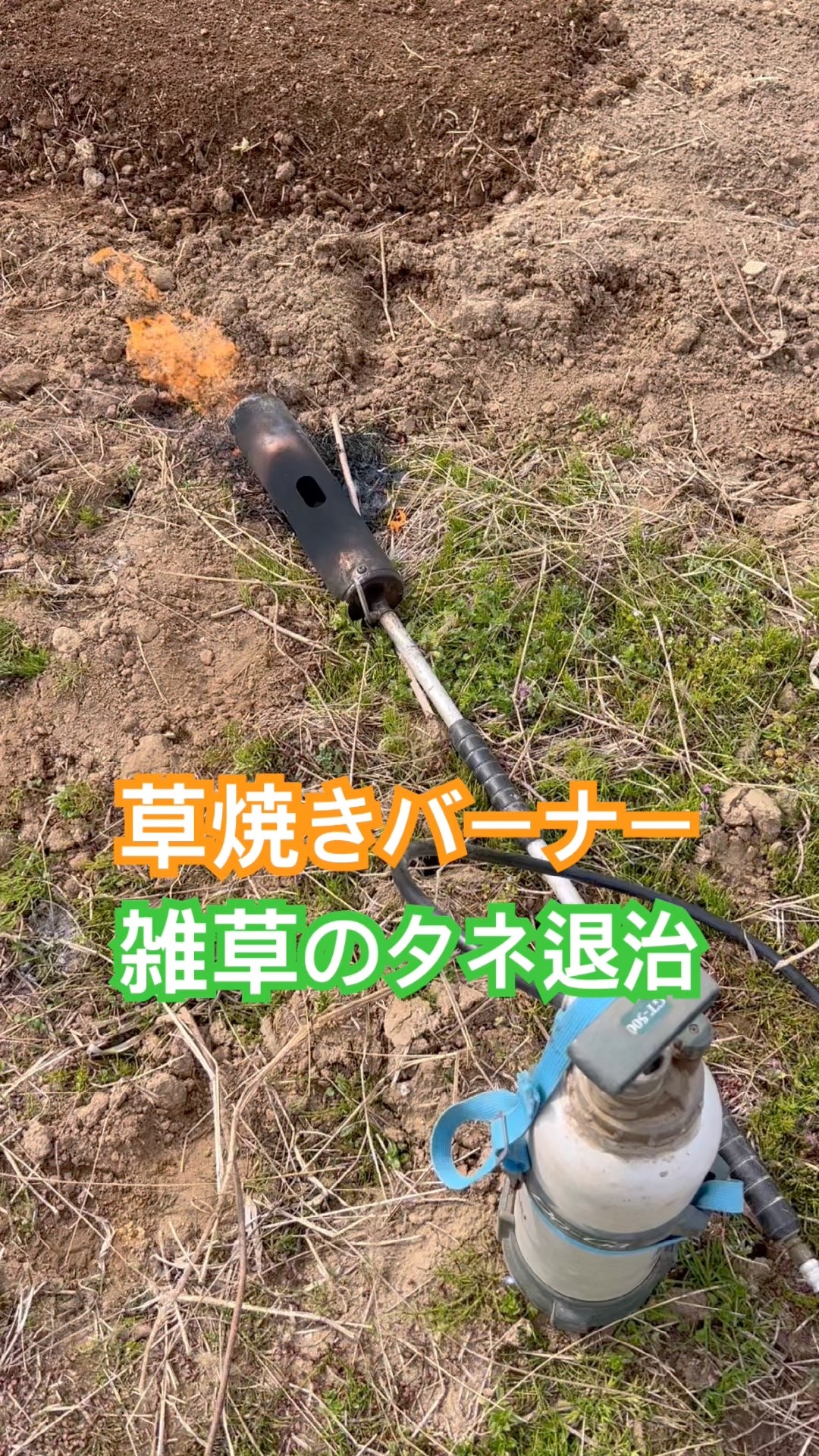 草焼きバーナーで雑草の種を焼き尽くす。#雑草 #草焼きバーナー - YouTube
