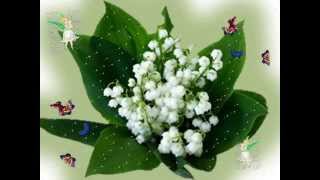 1er Mai Muguet Cartes Virtuelles Youtube
