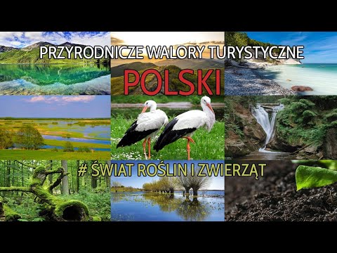 Świat roślin i zwierząt w Polsce cz.1