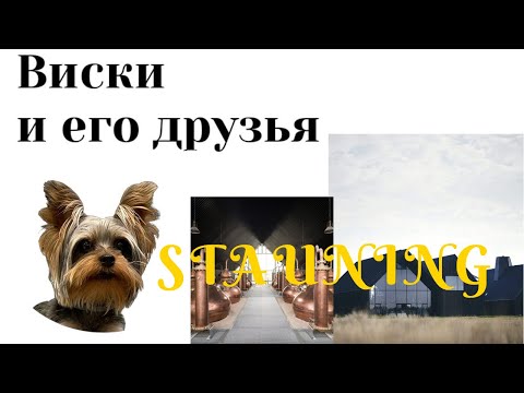 Видео: Крафтные винокурни в Торонто и его окрестностях