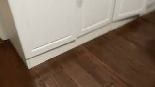 IMG 0130