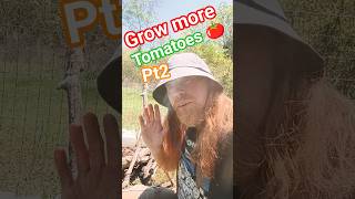 #howto #diy #grow #food #ian #happy #peace #new #today #plants #vegetables #life #healthy  #good #1