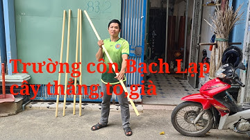Trường côn gỗ bạch lạp,Roi gỗ bạch lạp Toankungfu