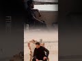 تعبنا ومين دوانا كلها عامله حبانا تعبنا ومين دوانا كلها عامله حبانا