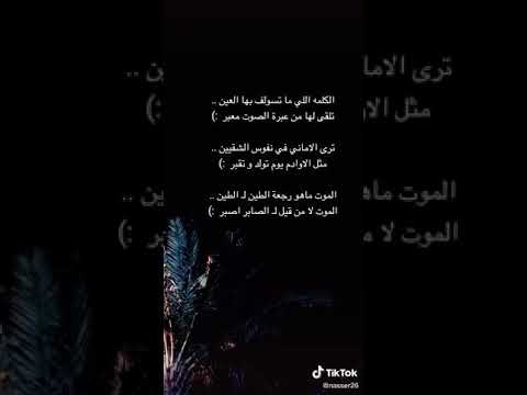 الكلمة اللي ماتسولف بها العين ابو أم الديسلايك تعال يا واطي اختففوا تفف تف بنص وجهك