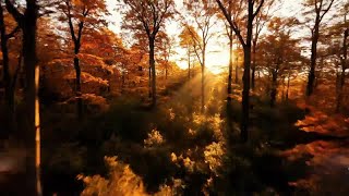 Celtic Bard Music and Celtic Harp Music – Relaxing Medieval Fantasy Instrumentals