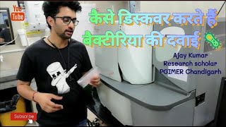 Microbiology Lab Workflow: From Isolation to Determining Drug Resistance (MicroScan WalkAway - Be...