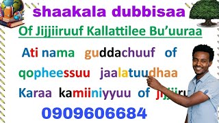 Jechoota  Maaliif  Dubbisuu  Dadhabne