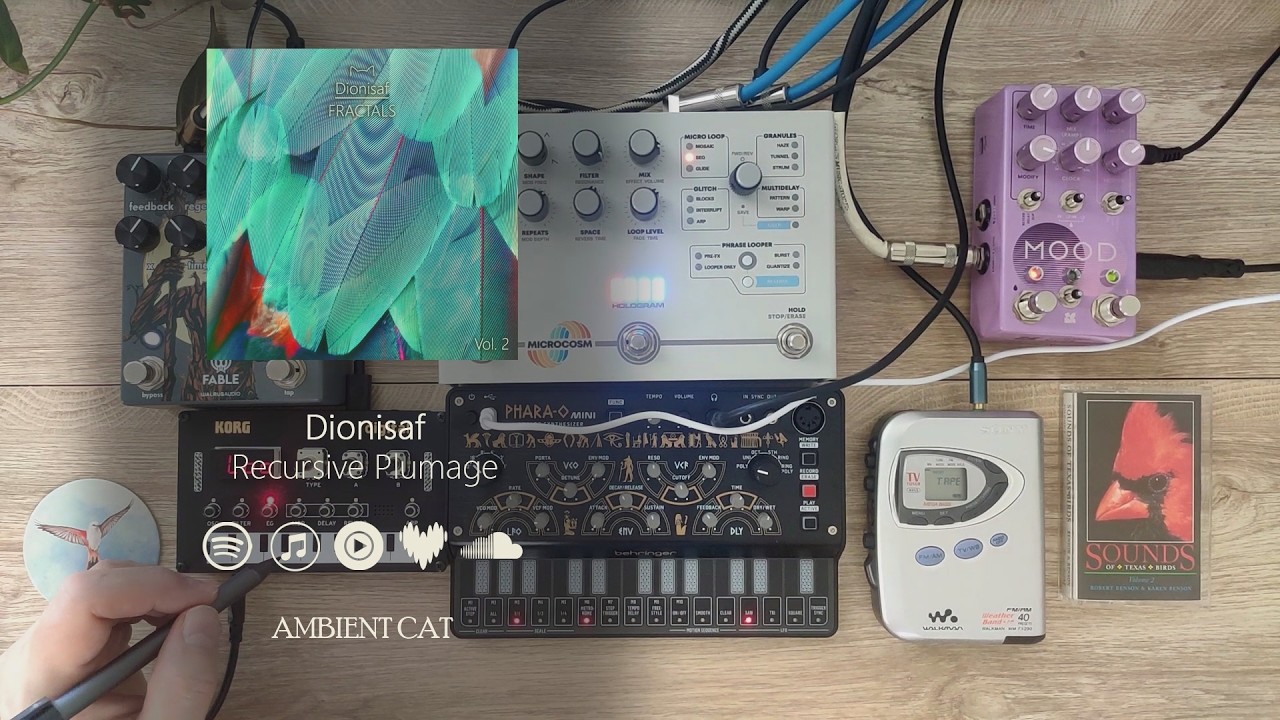 Dionisaf - Recursive Plumage auf YouTube ansehen Dionisaf - Recursive Plumage auf YouTube ansehen
