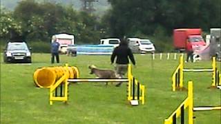 UKA Agility 2nd June 2012 Beginners Steeplechase