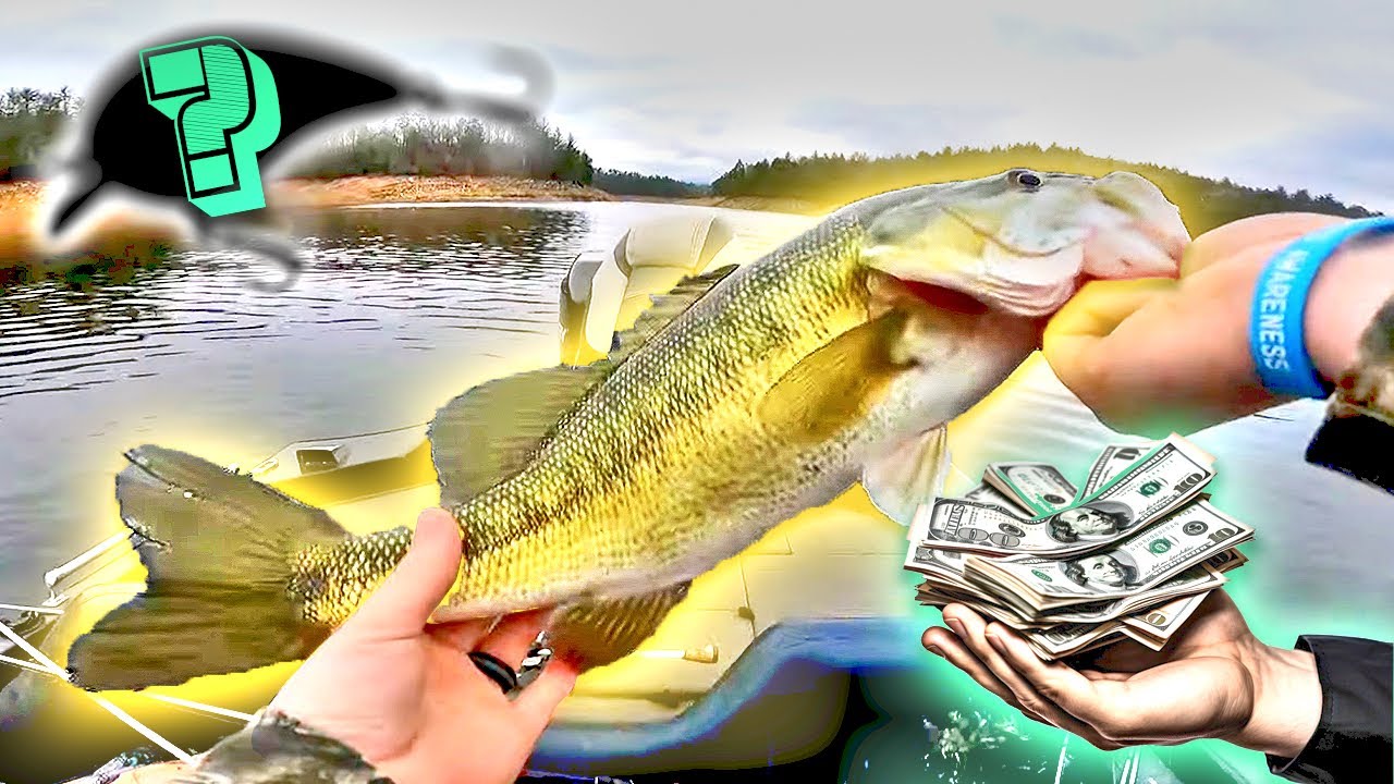 Winning MONEY in a BASS FISHING TOURNAMENT! (NEW BAIT!)