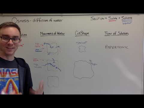 Lecture: Types of