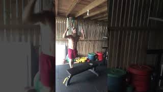 Single leg explosive step ups