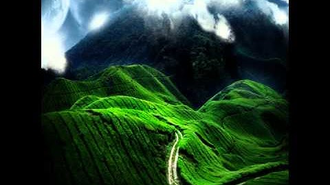 تلاوة الشيخ عبدالرحمن ناصر الشهري