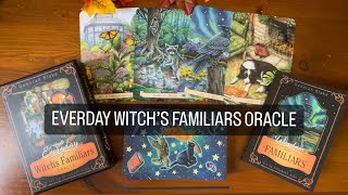 Everyday Witch’s Familiars Oracle |⭐️New Release⭐️| Full Flip Through