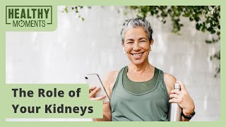 The Role of Your Kidneys