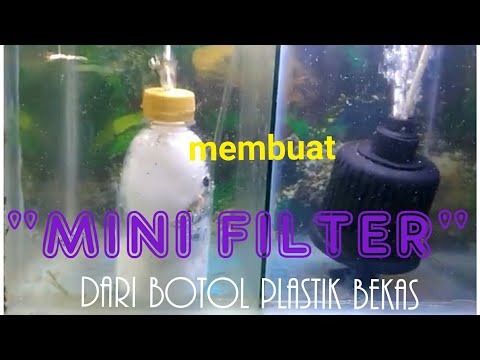 20 Trend Terbaru Cara Membuat Aquarium Dari Botol Bekas 