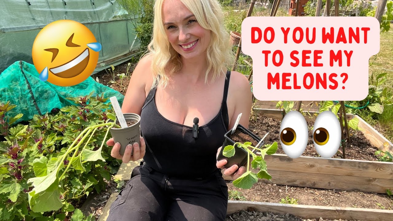 🌿 June Allotment Update: What’s Growing, What’s Harvesting & What’s Next