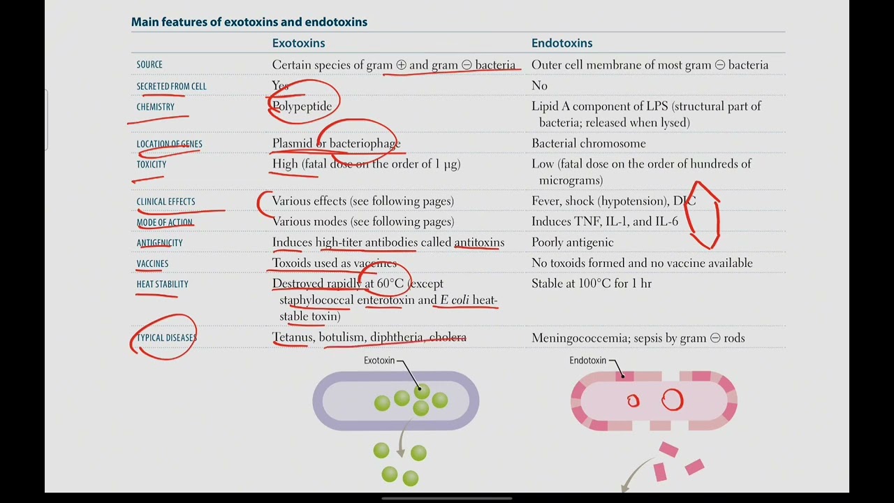 Exotoxins and Endotoxins, Bacteria with exotoxins | Microbiology # 6 | First Aid USMLE in Urdu/Hindi