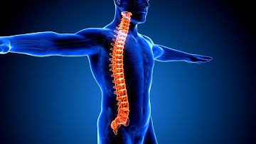 3D printed spine scaffold