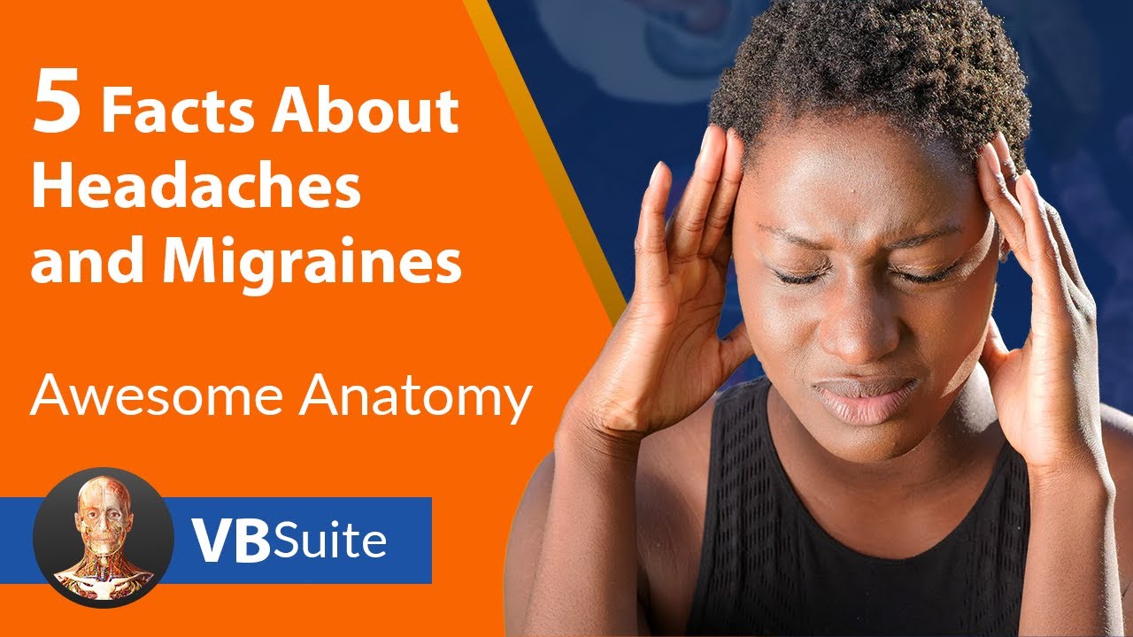 5 Facts About Headaches and Migraines YouTube