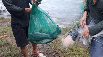 Đập thủy điện trị an ngừng xả 1 cửa người dân bắt được cá khủng quý hiếm | bắt cá hồ trị an 2023