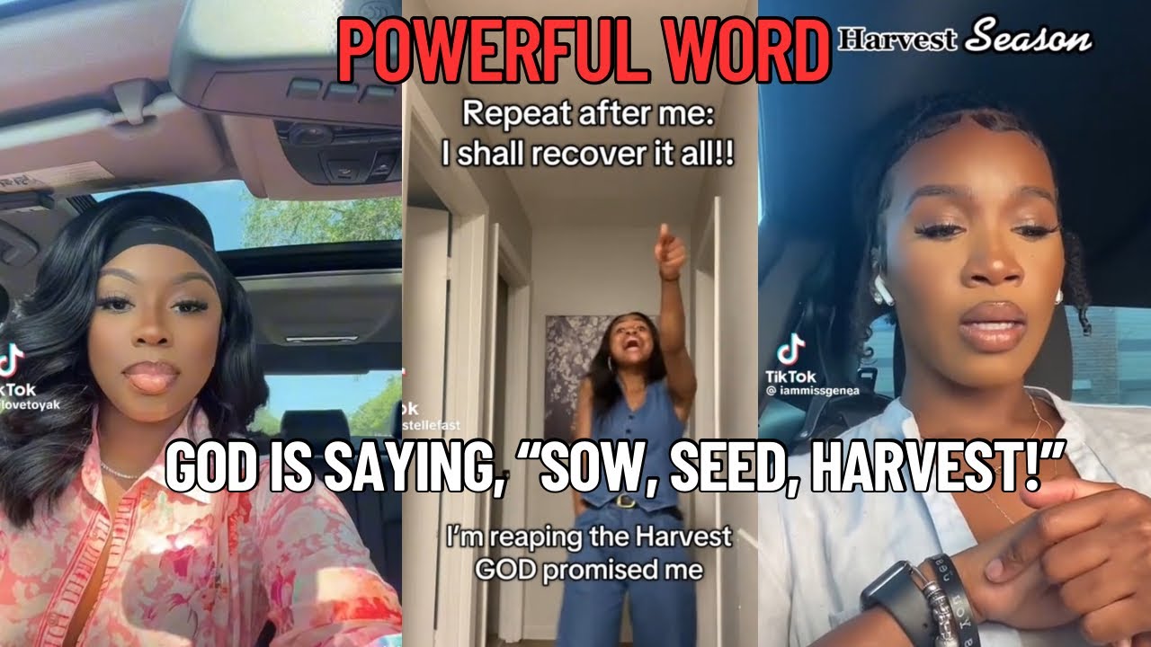 Sow, Seed, Harvest! God Says, “It’s Your Season” 🌱✨