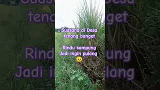 Download Lagu RINDU KAMPUNG HALAMAN... #rindu #kampung #viral #desa #indah MP3 Download Lagu RINDU KAMPUNG HALAMAN... #rindu #kampung #viral #desa #indah MP3