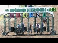 Carreras de Caballos 29 de Octubre 2023 Hipódromo de Hermosillo