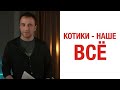 «Бульварные Новости» от Егора Козореза