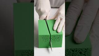 Cutting Everything Perfectly #asmr #satisfying #cuttingskills