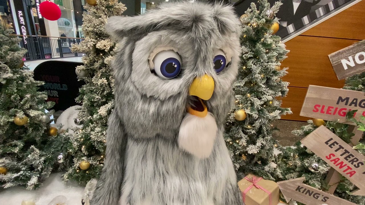 Рождественская поющая сова в Большом пассаже, Кембридж.