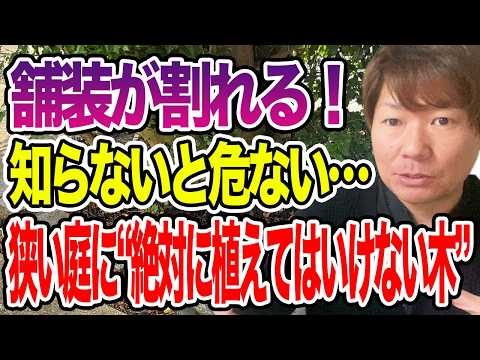 コラムナーツリーの選び方｜小さな庭でも育つ人気品種5選