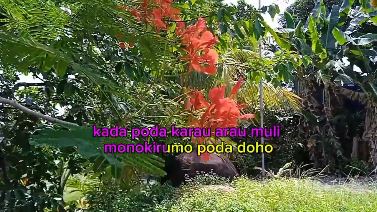 Sama-sama Miambalut (Karaoke )                 Christopher Kindungan