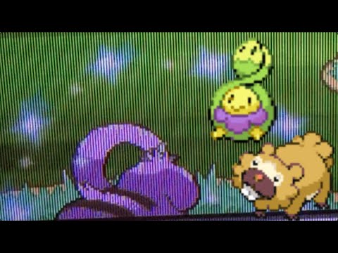 Code Event Shiny Parecool/Slakoth Pour Pokémon GO - 30 Jours, Région Libre