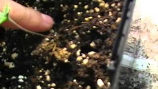 Update and adding some soil