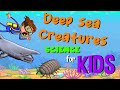 Deep Sea Creatures Quiz