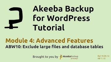 ABW10 Excluding Large Files and Database Tables