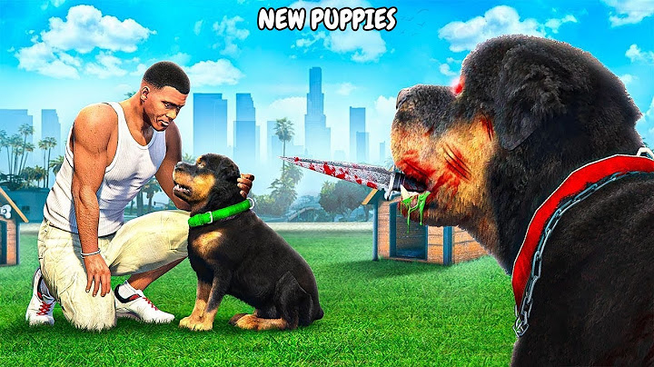 GTA 5 : Franklin shinchan Found New Chop Puppies In Gta 5 Tamil | Franklin Tamil | Gta 5 !