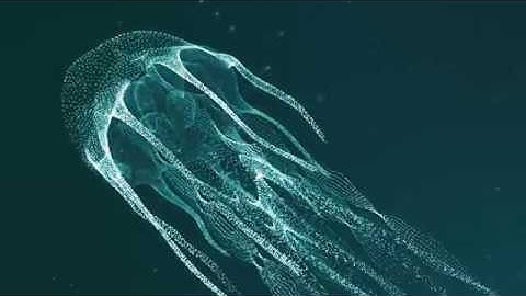 Audio Visualisation Project (Jelly Fish Particle Animation)