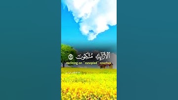 سورة يس #اكسبلور #لايك #القرآن_الكريم #تيك_توك #المصحف #حالات_واتس #السعودية_الكويت_الامارات_قطر_عما