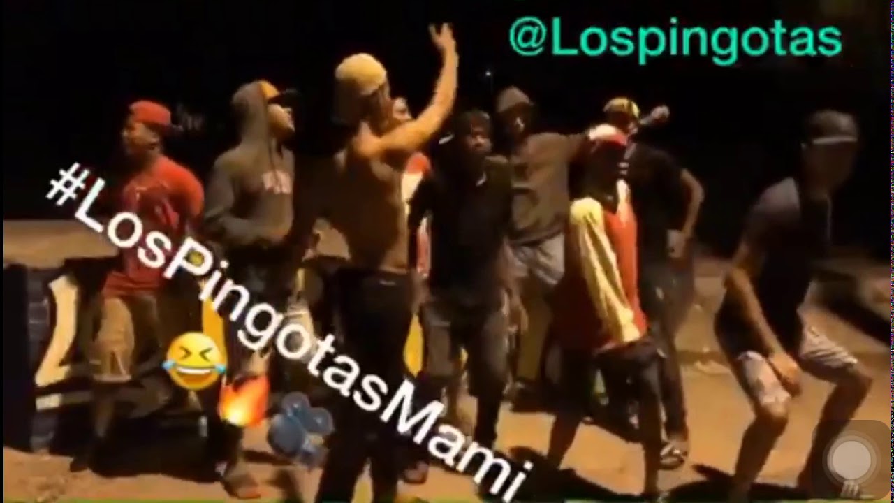 Los pingota mami (Demaciada) cura😂