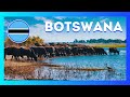 5 destinos incrveis para viajar em botswana