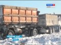 В Алтайском крае крестьяне добывают подсолнечник и
